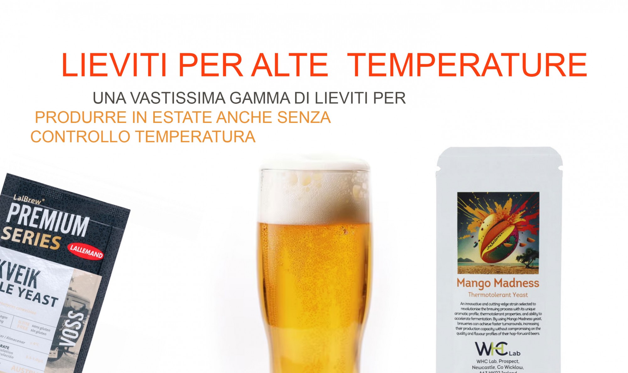 Fare la birra la birra in estate?